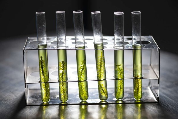 What's the Most Effective Way to Reduce Algae Growth in a Fish Tank Without Chemicals?