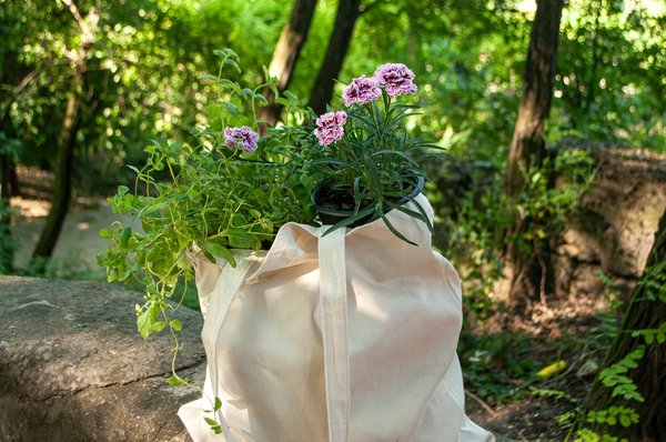 Discover bacround, the round raised garden bed for mandala gardens